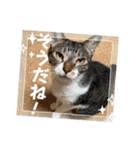 ボクは大ちゃん3（個別スタンプ：29）