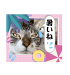 ボクは大ちゃん3（個別スタンプ：32）