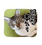 ボクは大ちゃん3（個別スタンプ：35）