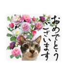 ボクは大ちゃん3（個別スタンプ：40）
