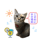あんずちゃん其の11（個別スタンプ：2）