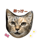 あんずちゃん其の11（個別スタンプ：6）