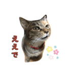 あんずちゃん其の11（個別スタンプ：14）