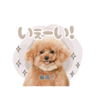 スーパーニートこてつ♀2（個別スタンプ：3）