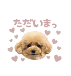スーパーニートこてつ♀2（個別スタンプ：4）