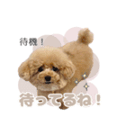 スーパーニートこてつ♀2（個別スタンプ：6）