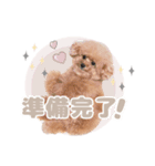スーパーニートこてつ♀2（個別スタンプ：10）