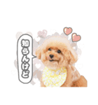 スーパーニートこてつ♀2（個別スタンプ：16）