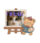 cat/猫/子猫/保護猫挨拶スタンプ（個別スタンプ：6）