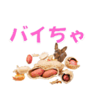 蘭丸先輩3（個別スタンプ：1）