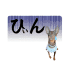 蘭丸先輩3（個別スタンプ：21）