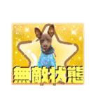 蘭丸先輩3（個別スタンプ：33）