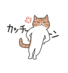 40匹の無気力ねこ！（個別スタンプ：20）