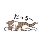 40匹の無気力ねこ！（個別スタンプ：22）