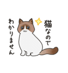 40匹の無気力ねこ！（個別スタンプ：39）