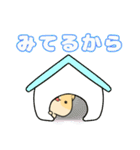 かわハムちゃんスタンプ（個別スタンプ：8）