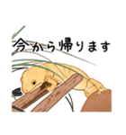 もろのすたんぷ（個別スタンプ：7）