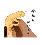 もろのすたんぷ（個別スタンプ：9）