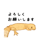 もろのすたんぷ（個別スタンプ：11）