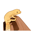 もろのすたんぷ（個別スタンプ：21）