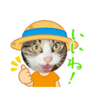 たま空の夏（個別スタンプ：7）
