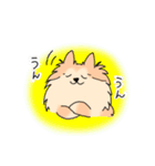 ポメラニアンのえり太セレクション（個別スタンプ：10）