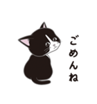 にゃんちょこりん(白黒ハチワレ猫)（個別スタンプ：3）