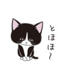 にゃんちょこりん(白黒ハチワレ猫)（個別スタンプ：4）