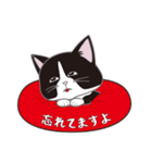 にゃんちょこりん(白黒ハチワレ猫)（個別スタンプ：5）