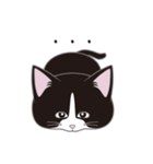 にゃんちょこりん(白黒ハチワレ猫)（個別スタンプ：8）