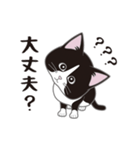 にゃんちょこりん(白黒ハチワレ猫)（個別スタンプ：9）