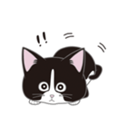 にゃんちょこりん(白黒ハチワレ猫)（個別スタンプ：10）