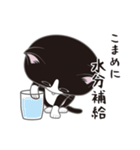 にゃんちょこりん(白黒ハチワレ猫)（個別スタンプ：11）