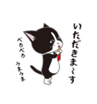 にゃんちょこりん(白黒ハチワレ猫)（個別スタンプ：13）