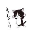 にゃんちょこりん(白黒ハチワレ猫)（個別スタンプ：15）