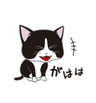 にゃんちょこりん(白黒ハチワレ猫)（個別スタンプ：19）