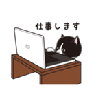 にゃんちょこりん(白黒ハチワレ猫)（個別スタンプ：20）