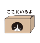 にゃんちょこりん(白黒ハチワレ猫)（個別スタンプ：22）