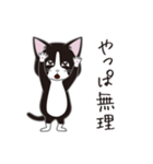 にゃんちょこりん(白黒ハチワレ猫)（個別スタンプ：24）
