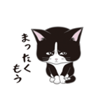 にゃんちょこりん(白黒ハチワレ猫)（個別スタンプ：27）