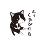 にゃんちょこりん(白黒ハチワレ猫)（個別スタンプ：28）