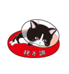 にゃんちょこりん(白黒ハチワレ猫)（個別スタンプ：30）