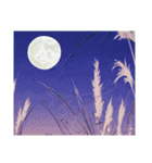 【 十五夜 お月見 うさぎ 初秋のイラスト】（個別スタンプ：10）