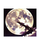 【 十五夜 お月見 うさぎ 初秋のイラスト】（個別スタンプ：15）