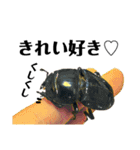 Beetle＆Stag beetle 第3弾（個別スタンプ：3）