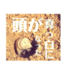Beetle＆Stag beetle 第3弾（個別スタンプ：5）