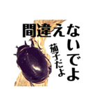 Beetle＆Stag beetle 第3弾（個別スタンプ：7）