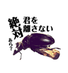 Beetle＆Stag beetle 第3弾（個別スタンプ：10）