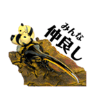Beetle＆Stag beetle 第3弾（個別スタンプ：12）