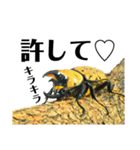 Beetle＆Stag beetle 第3弾（個別スタンプ：15）